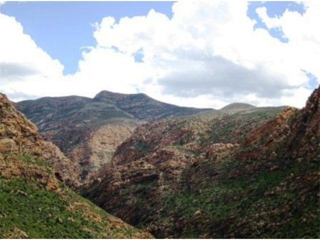 Adi_in_SA_-_Landscape16 - Copy