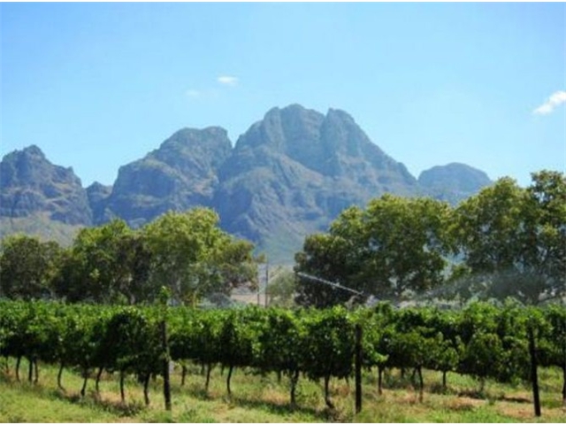 Adi_in_SA_-_Landscape19