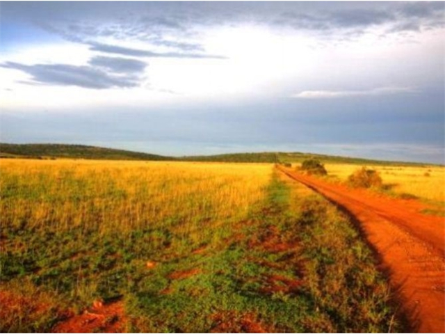 Adi_in_SA_-_Landscape2 - Copy