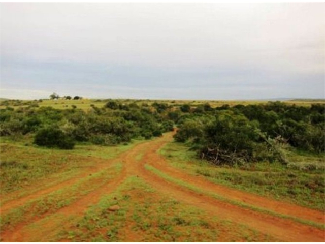 Adi_in_SA_-_Landscape3 - Copy