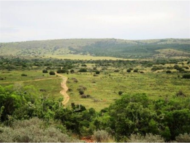 Adi_in_SA_-_Landscape4