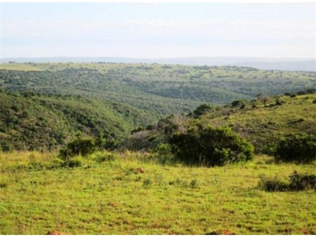 Adi_in_SA_-_Landscape5