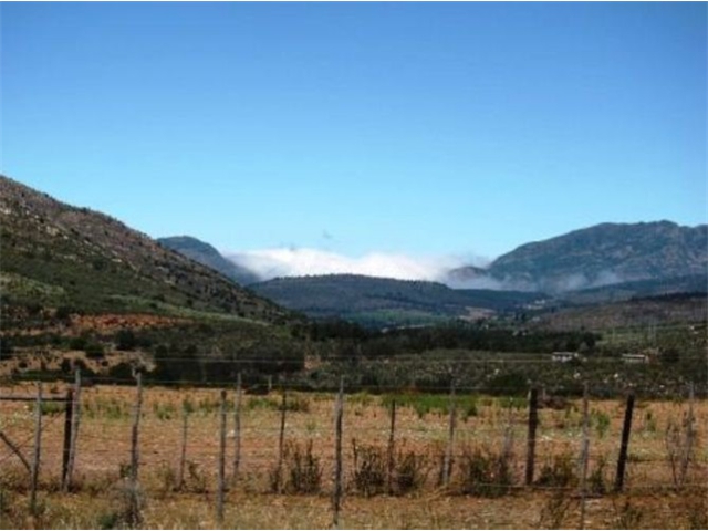 Adi_in_SA_-_Landscape58