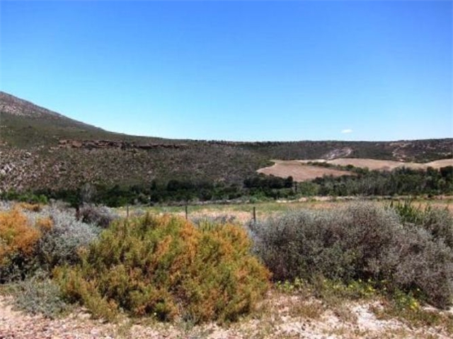 Adi_in_SA_-_Landscape60