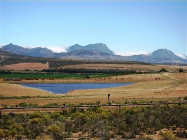 Adi_in_SA_-_Landscape63