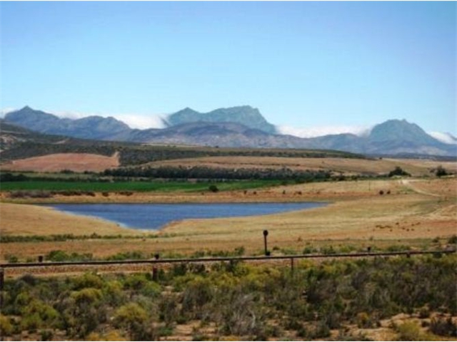 Adi_in_SA_-_Landscape8