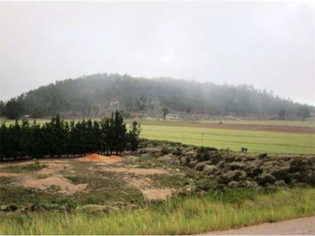 Adi_in_SA_-_Landscape84