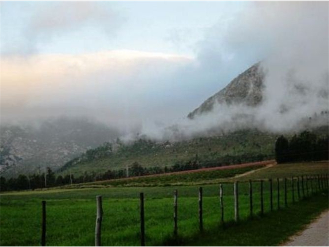 Adi_in_SA_-_Landscape86