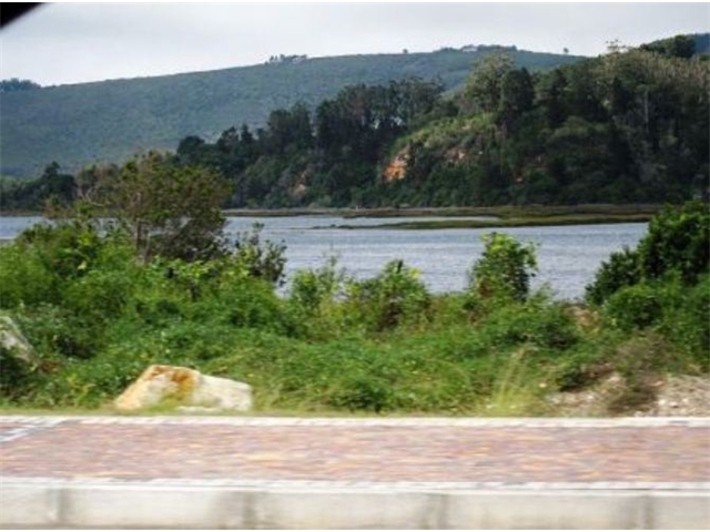 Adi_in_SA_-_Landscape96