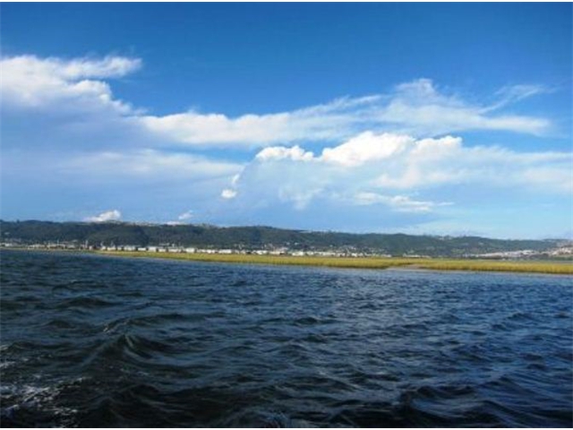 Adi_in_SA_-_Landscape105