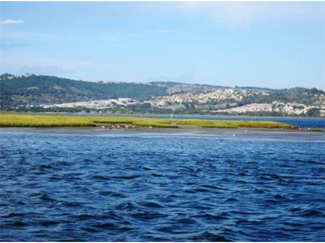 Adi_in_SA_-_Landscape106