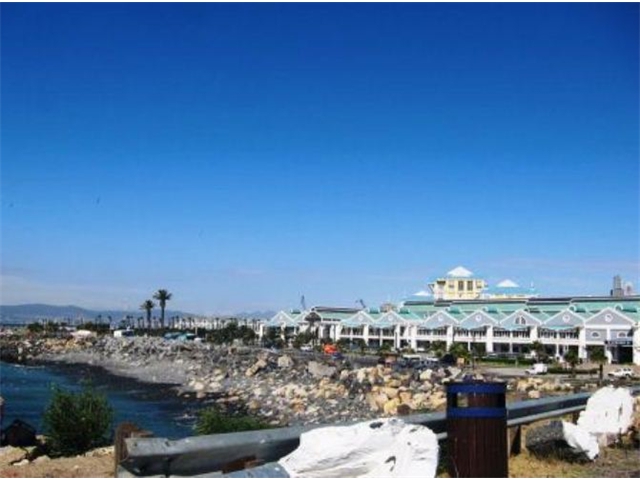 Adi_in_SA_-_Landscape177