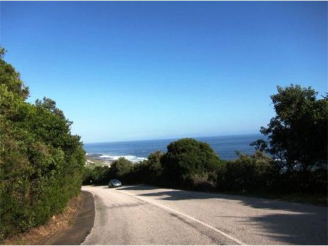 Adi_in_SA_-_Landscape6