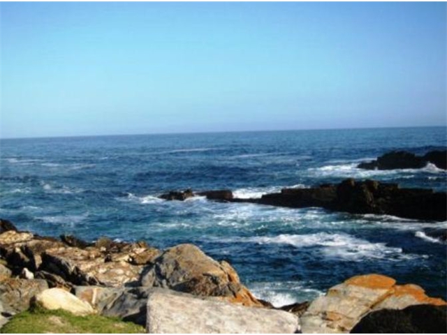 Adi_in_SA_-_Landscape7