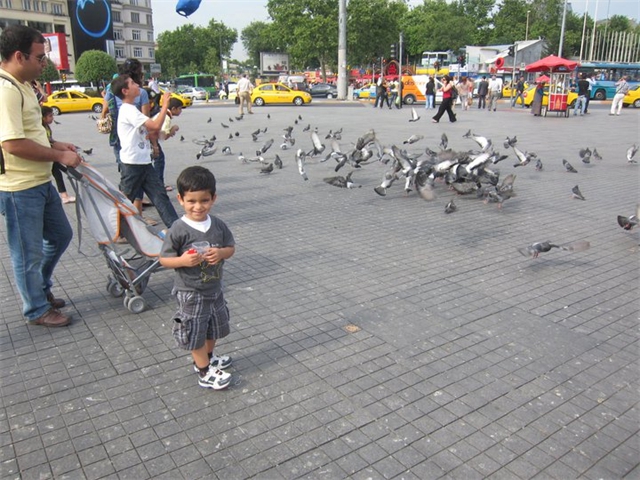 Adi and Sachin amongst pigeons