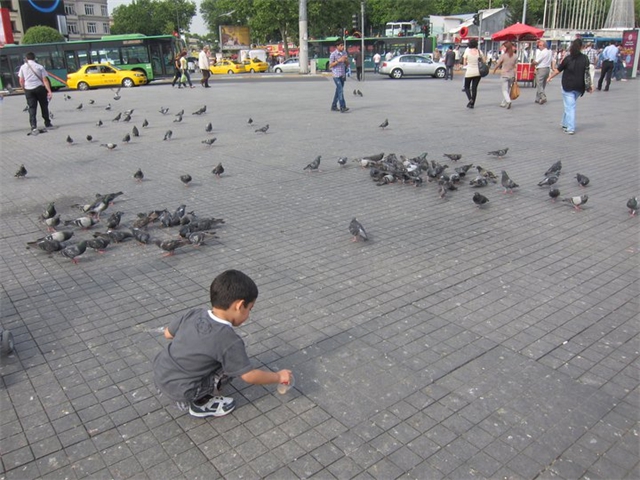 Adi playing with pigeons