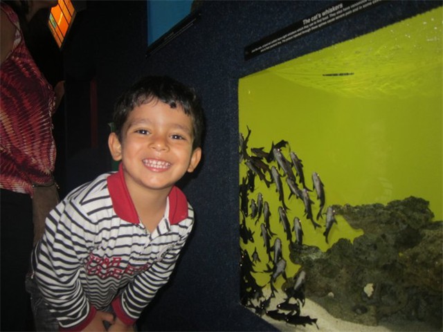 Adi enjoying aquarium
