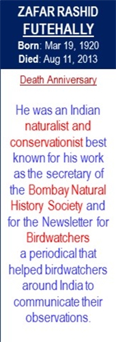 Zafar_Rashid_Futehally_Death_Aug-11