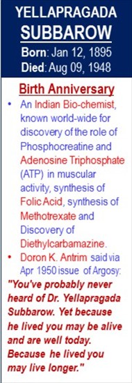 Yellapragada_Subbarow_Birth__Jan-12