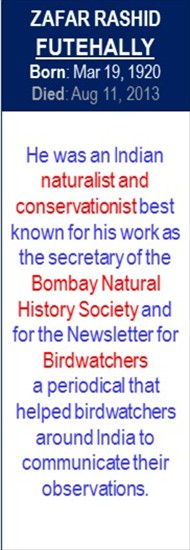 ZR_Futehally_Birth_Mar-19