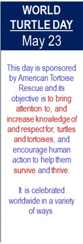 World_Turtle_Day_May-23
