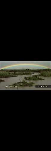 A celebration of nature on World Animal Day 2011