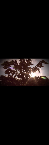 INTERNATIONAL COFFEE DAY - September 29th