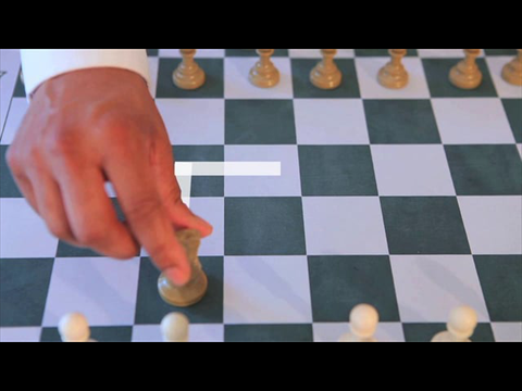 Chess Basics - Lesson 2: Learning The Pieces