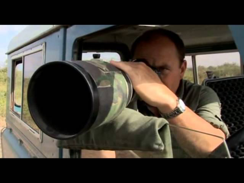 The Elephant Documentary