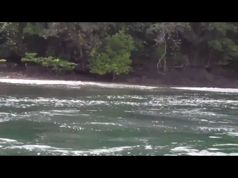 pt.omkarnath thakur-mishra bhairavi-jogi mat ja