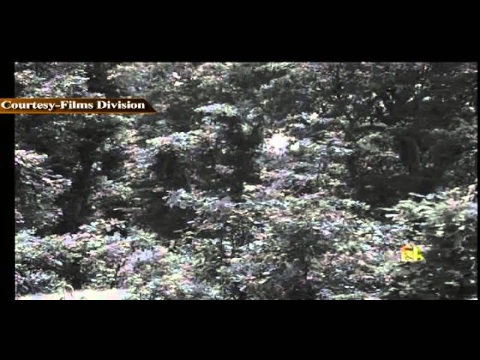 CHANDRA SHEKHAR AZAD