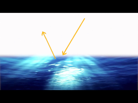 Raman Effect Exhibit