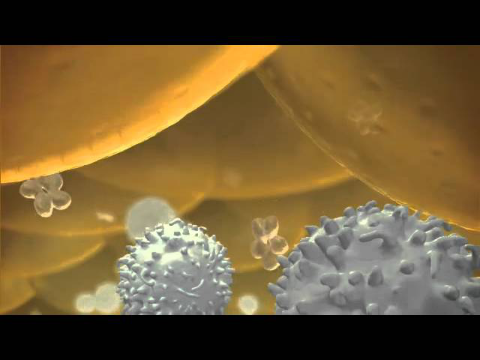 How does insulin work in the body?