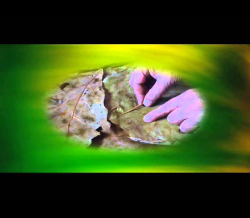 Personalities Of India   Annasaheb Karve Film No 153