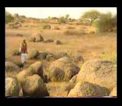 Bijji : The Legend of Daastaan