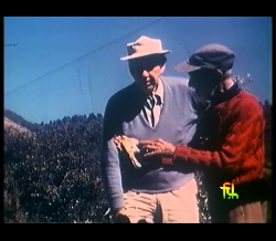 In Company Of Birds ( Salim Ali)