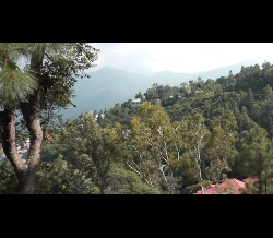 Traveling India: Chandigarh to Shimla