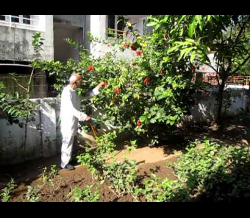 DADAJI'S DAILY ROUTINE